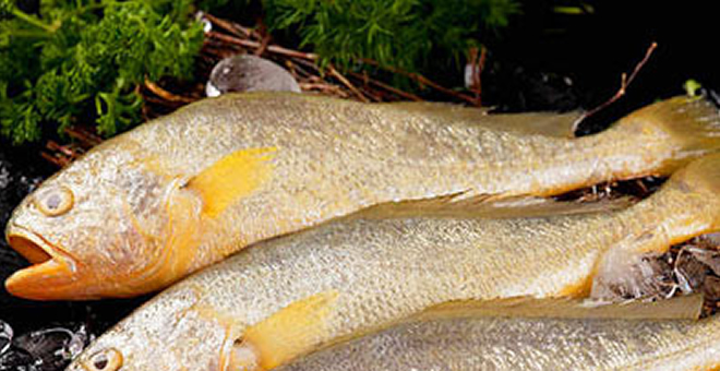 做鱼吃的技巧 几招教你怎么做好鱼