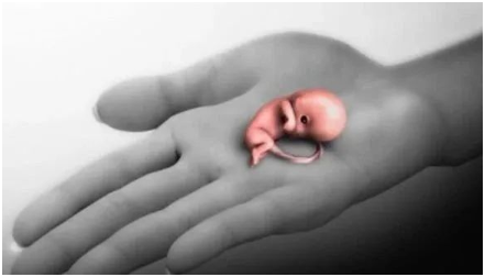 药流后注意事项 药流危害有多大