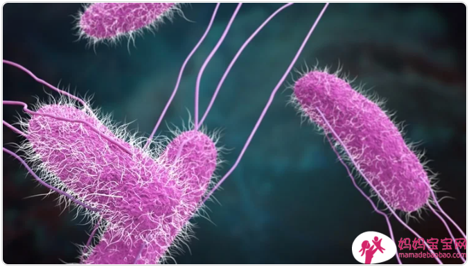 母乳免疫活动可能会降低和增加婴儿的传染病风险