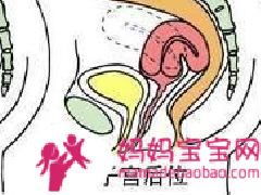 加快怀孕的 7 个技巧