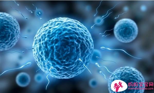 冰冻技术助您好孕！