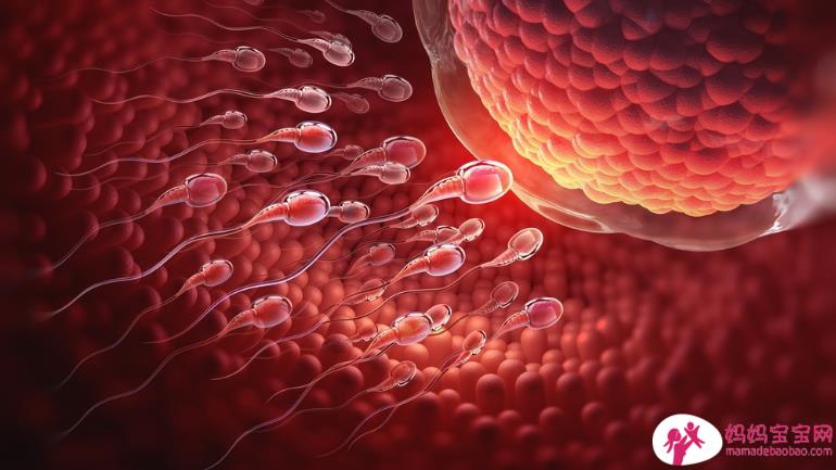 最佳的生产年龄是几岁？20岁vs. 30岁vs. 40岁的卵子差别