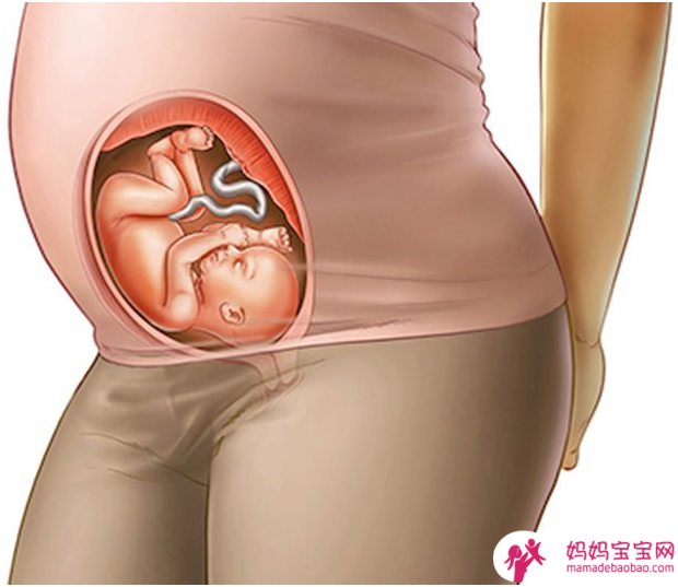 怀孕第25周：怀孕中期失眠原因？怀孕体重增加范围多少算正常？