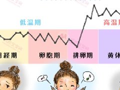 基础体温及如何利用基础体温备孕大发88黄金版娱乐
