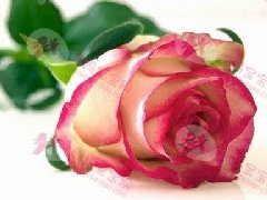 孕妇产前见红怎么办 判断原因冷静应对