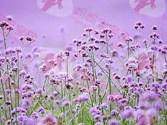 进入孕晚期 你要了解如何预防早产