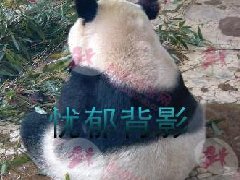 孕前抑郁症的症状 长治靠谱的妇科医院长治