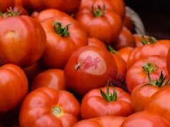 番茄、鲑鱼都入榜！盘点6种「抗衰老食物」，让你越吃越年轻