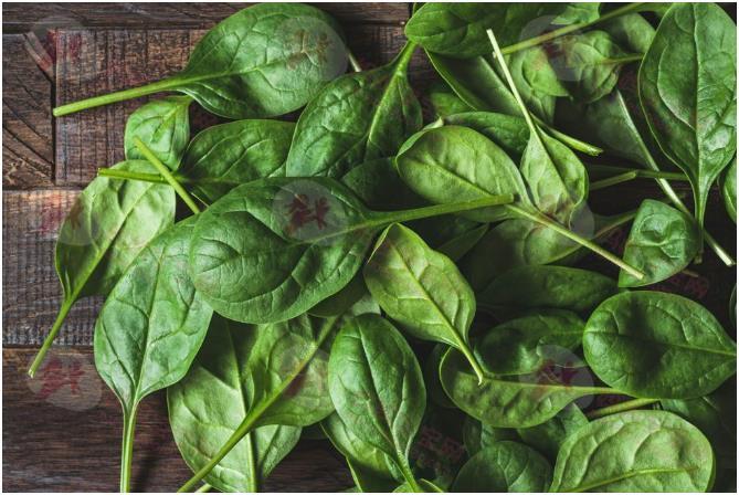 大力水手的最爱！「菠菜」对身体的22个好处，超百搭、抗癌、提升免疫力...