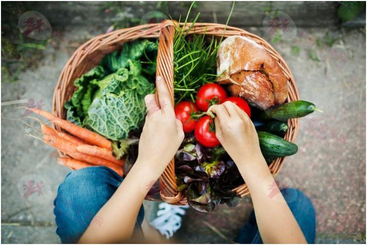 爆红减肥方法「减肥法」不用算热量也会瘦！算好餐盘比例搭配低卡食物