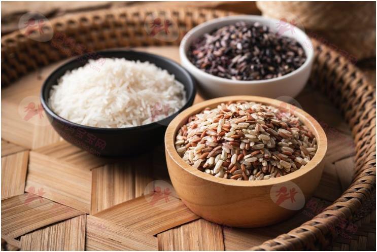 爆红减肥方法「减肥法」不用算热量也会瘦！算好餐盘比例搭配低卡食物