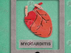 心脏肌肉发炎！心肌炎症状有哪些？该如何治疗？ 6大Q&A你一定要知道