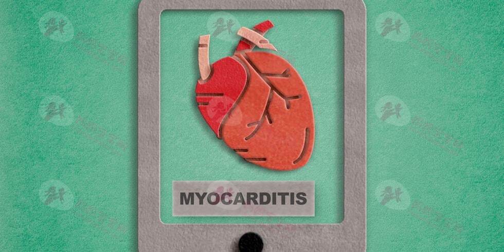 心脏肌肉发炎！心肌炎症状有哪些？该如何治疗？ 6大Q&A你一定要知道
