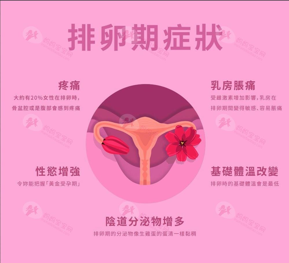 如何计算排卵期、安全期？小工具一看就上手