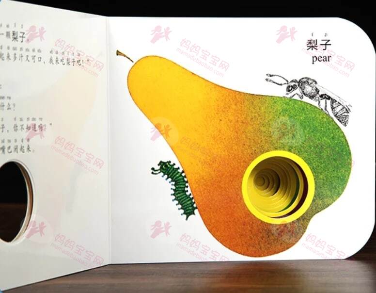 嗯哼大王、石头、大麟子都在读的《奇妙洞洞书》套装+英国最畅销金奖童书