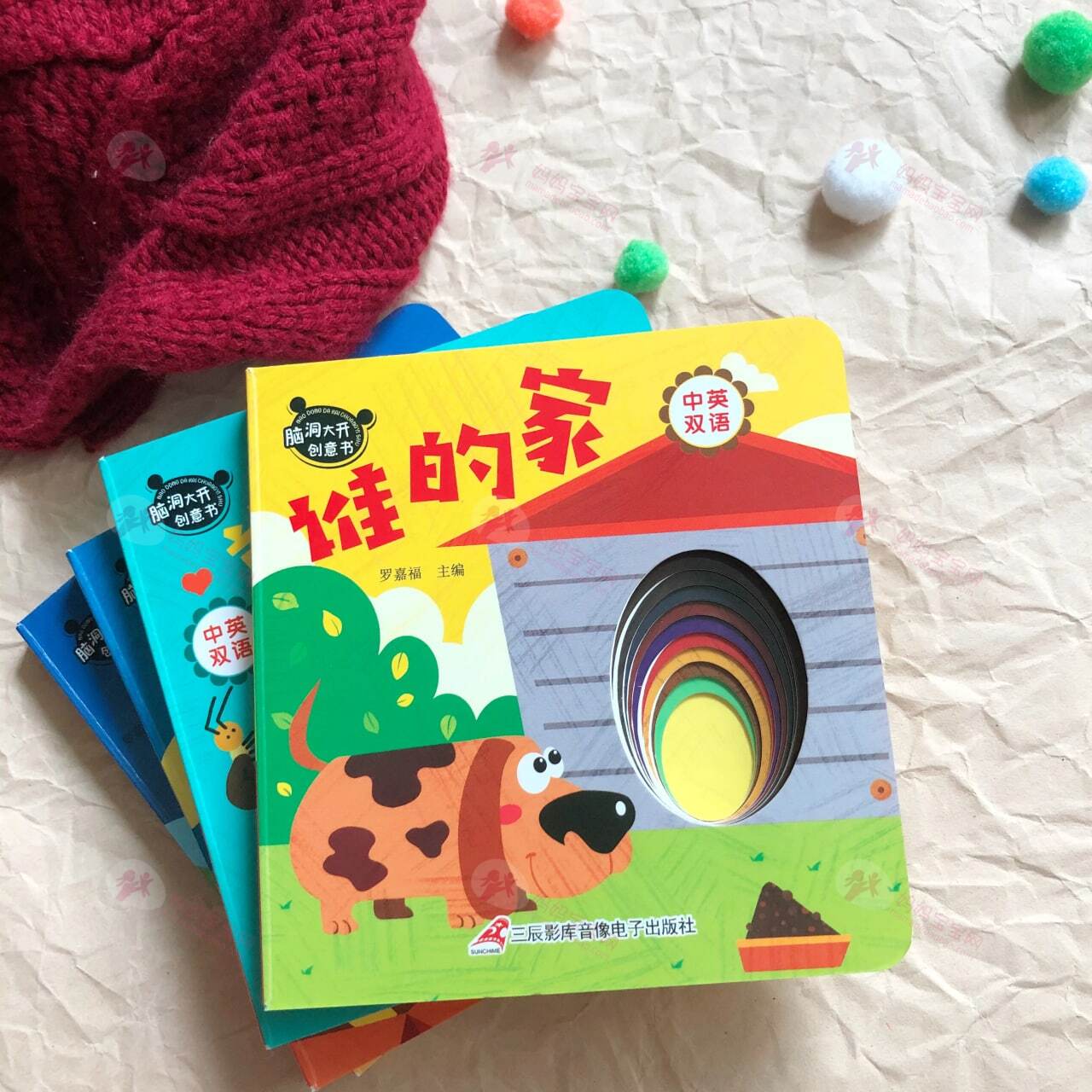 嗯哼大王、石头、大麟子都在读的《奇妙洞洞书》套装+英国最畅销金奖童书