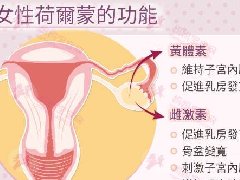 雌激素过多是怎么回事（女性体内雌激素过多）