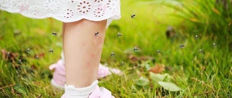 宝宝为什么格外招蚊子“喜欢”?如何防止宝宝被蚊子叮咬?