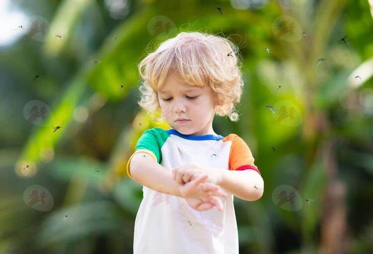 宝宝为什么格外招蚊子“喜欢”?如何防止宝宝被蚊子叮咬?