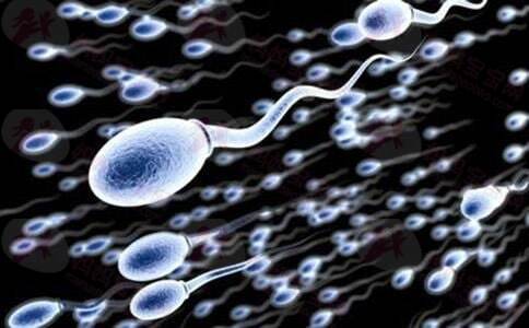 精子成活率多少正常？（精子的成活率）