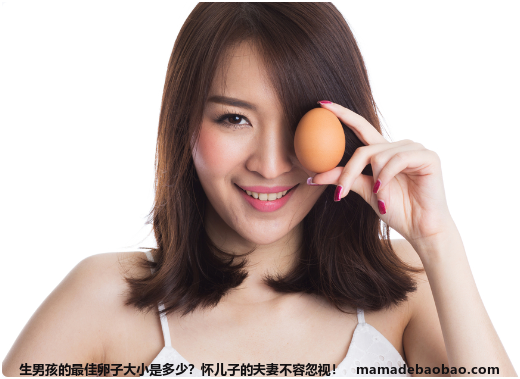 生男孩的最佳卵子大小是多少？怀儿子的夫妻不容忽视！