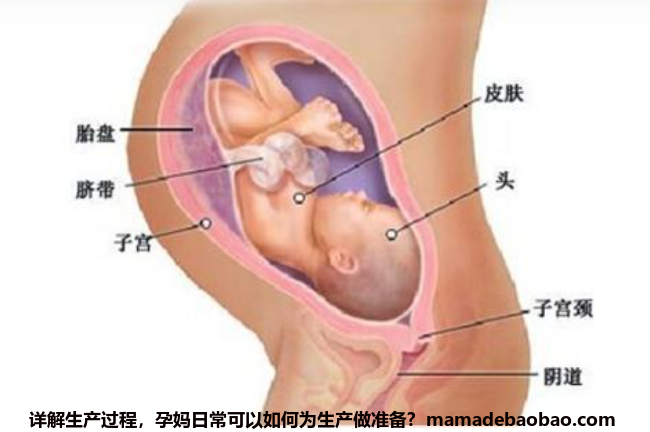 详解生产过程,孕妈日常可以如何为生产做准备?