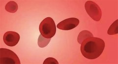 青春期功血是什么 青春期功血是什么来的呢？（出血不规律）