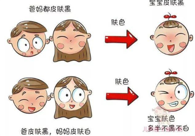 宝宝的皮肤是父母的遗传吗