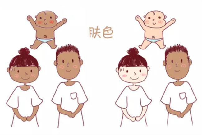 宝宝的皮肤是父母的遗传吗