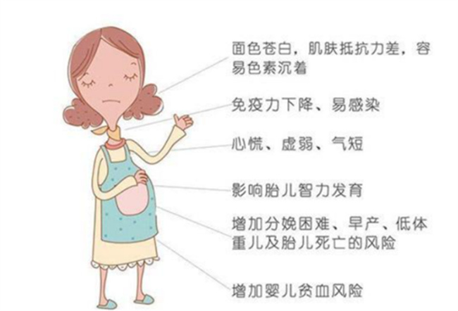 为什么怀孕期间孕妇会有贫血症状