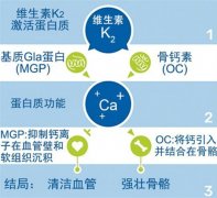 发现宝宝有佝偻病怎么样可以补充