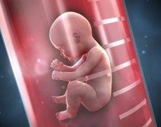 试管婴儿费用解析：成本因素与成功率挑战