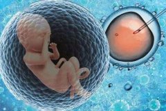 探索第三代试管婴儿技术：挡住遗传疾病的先进护卫》