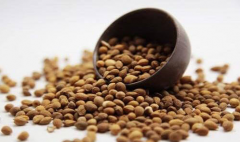 五种中医偏方解决便秘问题，快速缓解不适！