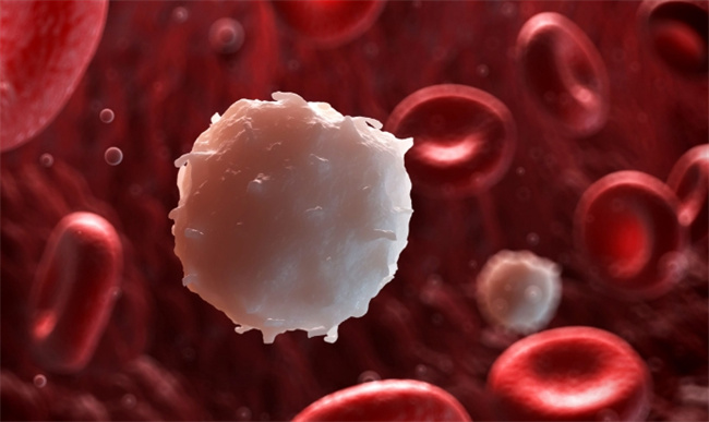 女性白带异常现象揭秘：血性分泌的背后可能隐藏的妇科健康问题