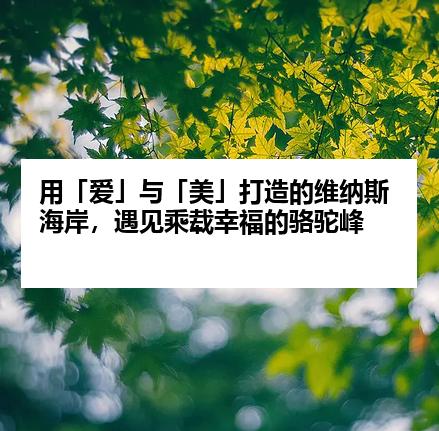 用「爱」与「美」打造的维纳斯海岸，遇见乘载幸福的骆驼峰