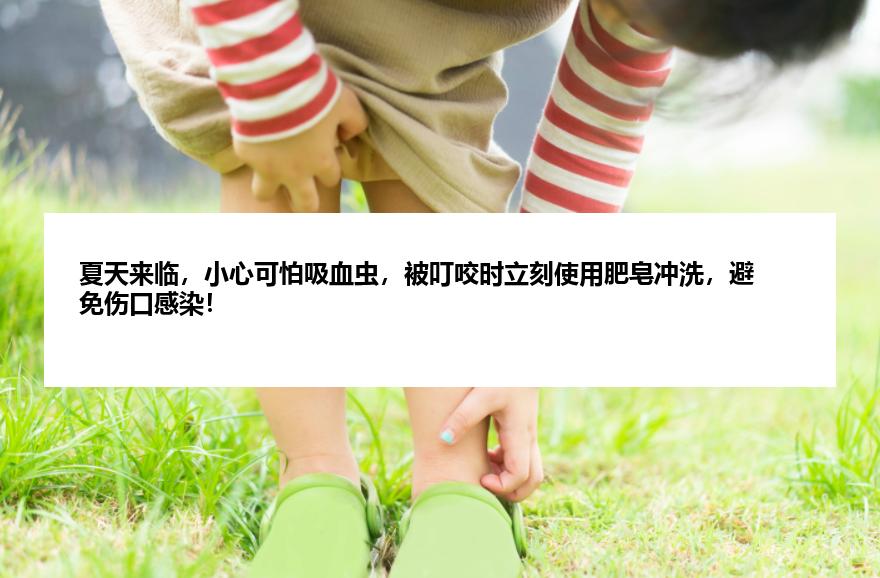 夏天来临，小心可怕吸血虫，被叮咬时立刻使用肥皂冲洗，避免伤口感染！