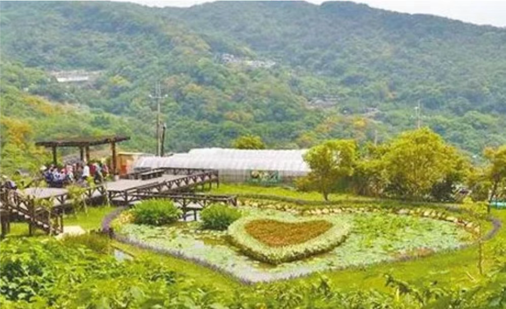 挑战视觉极限、打造全新自我的一条步道！白石湖一日游、龙船岩步道