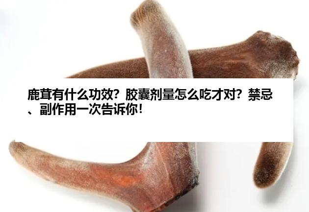 鹿茸有什么功效？胶囊剂量怎么吃才对？禁忌、副作用一次告诉你！