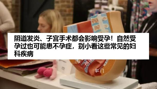 阴道发炎、子宫手术都会影响受孕！自然受孕过也可能患不孕症，别小看这些常见的妇科疾病