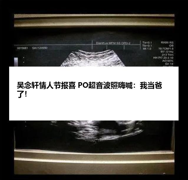 吴念轩情人节报喜 PO超音波照嗨喊：我当爸了！