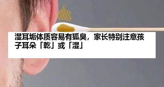 湿耳垢体质容易有狐臭，家长特别注意孩子耳朵「乾」或「湿」