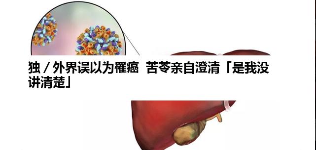 独／外界误以为罹癌  苦苓亲自澄清「是我没讲清楚」