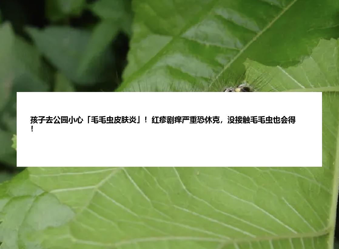 孩子去公园小心「毛毛虫皮肤炎」！红疹剧痒严重恐休克，没接触毛毛虫也会得！