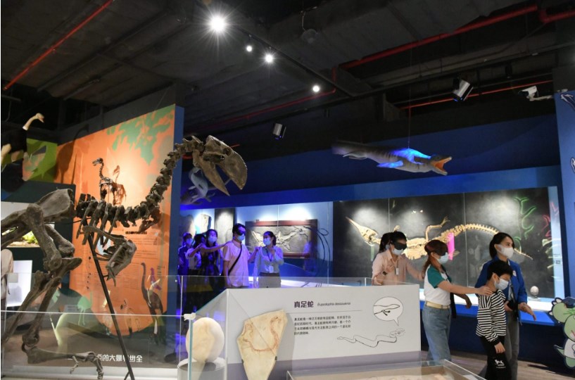 bobo逛博物馆．亲子活动的新选择！博物馆的4个好处＆4项事前准备