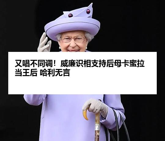 又唱不同调！威廉识相支持后母卡蜜拉当王后 哈利无言