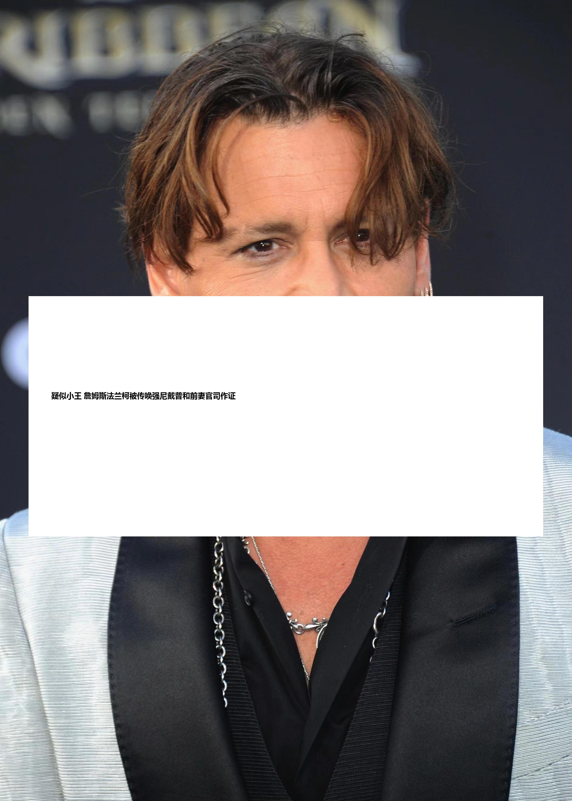疑似小王 詹姆斯法兰柯被传唤强尼戴普和前妻官司作证