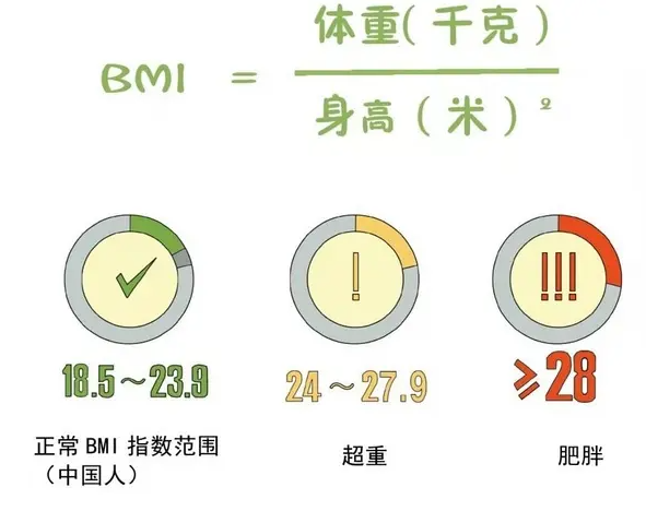练习倾听身体发出的讯号：30 之后走向「蔬食」新生活，用植物能量守护健康