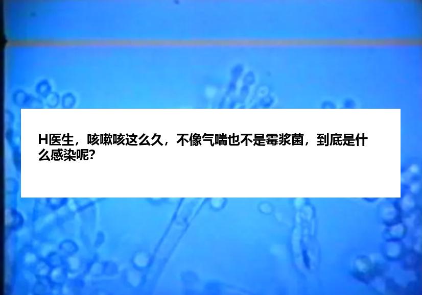 H医生，咳嗽咳这么久，不像气喘也不是霉浆菌，到底是什么感染呢？