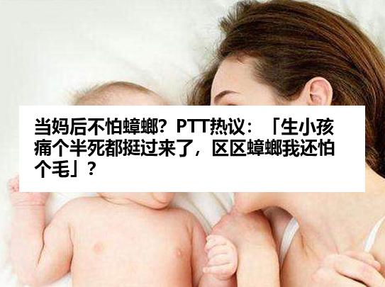 当妈后不怕蟑螂？PTT热议：「生小孩痛个半死都挺过来了，区区蟑螂我还怕个毛」？
